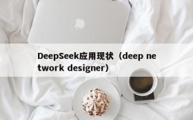 DeepSeek应用现状（deep network designer）