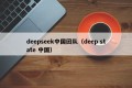 deepseek中国团队（deep state 中国）