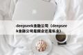 deepseek金融公司（deepseek金融公司是国企还是私企）