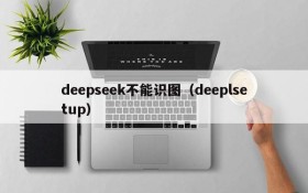 deepseek不能识图(deeplsetup)