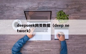 deepseek网页数据（deep network）