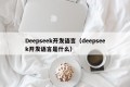 Deepseek开发语言（deepseek开发语言是什么）