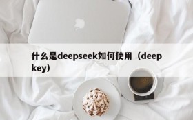 什么是deepseek如何使用(deepkey)