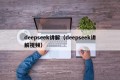 deepseek讲解（deepseek讲解视频）