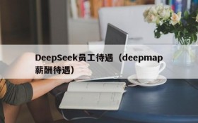 DeepSeek员工待遇（deepmap薪酬待遇）