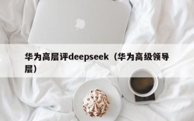 华为高层评deepseek（华为高级领导层）