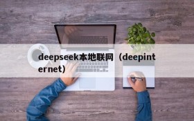 deepseek本地联网(deepinternet)