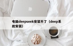 电脑deepseek安装不了（deep系统安装）