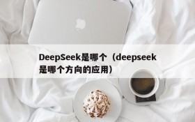 DeepSeek是哪个（deepseek是哪个方向的应用）