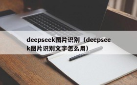 deepseek图片识别（deepseek图片识别文字怎么用）