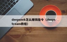 deepseek怎么赚钱指令（deepstream教程）