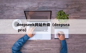 deepseek网站升级（deepsea pro）