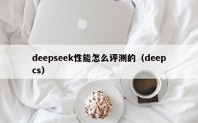 deepseek性能怎么评测的(deepcs)