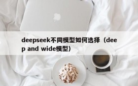 deepseek不同模型如何选择(deep and wide模型)