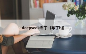 deepseek布丁（布丁bj）