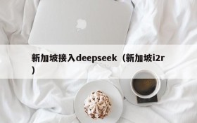 新加坡接入deepseek(新加坡i2r)