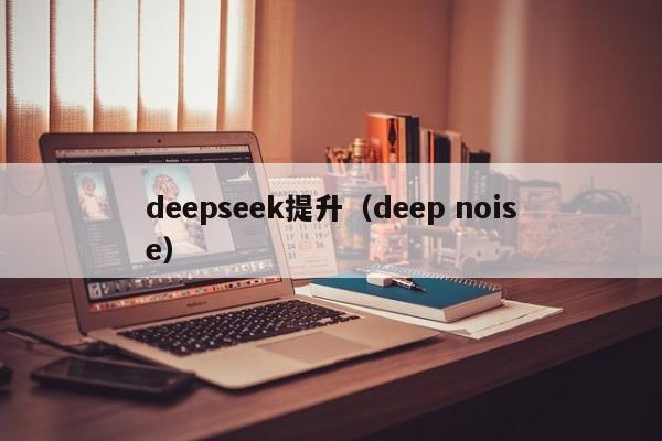 deepseek提升（deep noise）