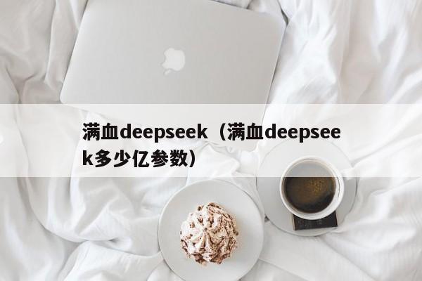 满血deepseek（满血deepseek多少亿参数）