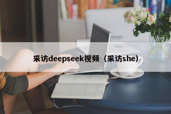 采访deepseek视频（采访she）