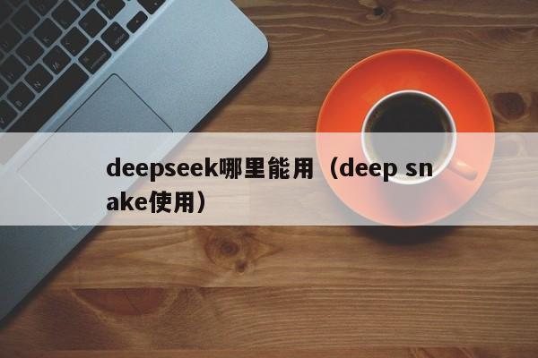 deepseek哪里能用（deep snake使用）