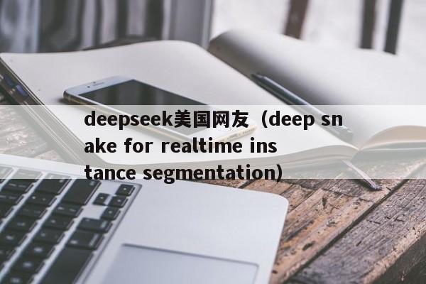 deepseek美国网友（deep snake for realtime instance segmentation）