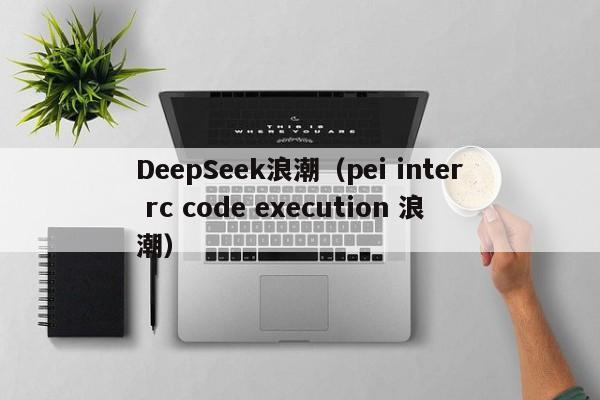 DeepSeek浪潮（pei inter rc code execution 浪潮）