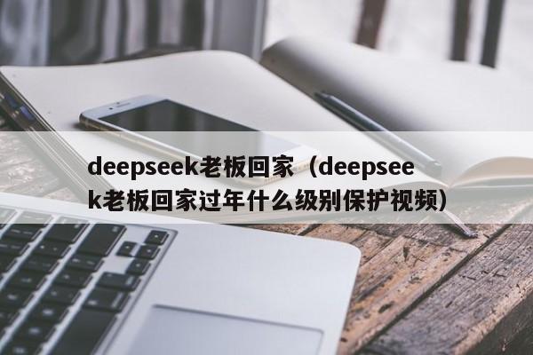 deepseek老板回家（deepseek老板回家过年什么级别保护视频）