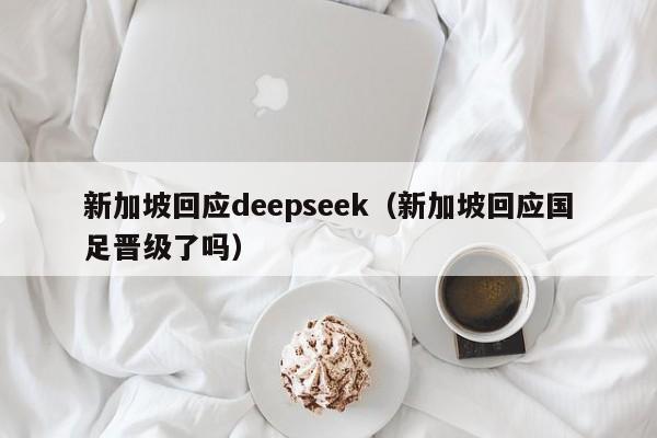 新加坡回应deepseek（新加坡回应国足晋级了吗）