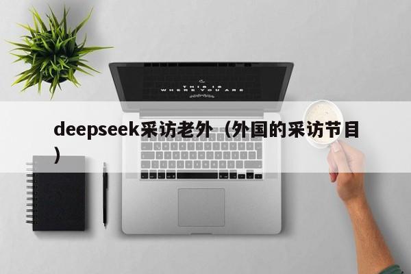 deepseek采访老外（外国的采访节目）