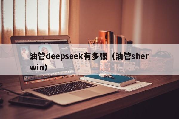 油管deepseek有多强（油管sherwin）