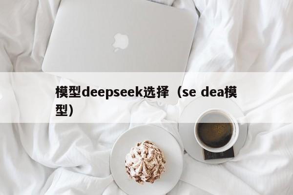 模型deepseek选择（se dea模型）