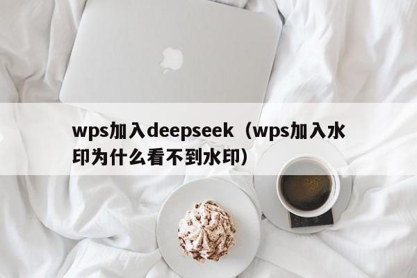 wps加入deepseek（wps加入水印为什么看不到水印）