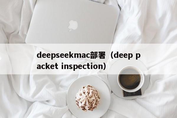 deepseekmac部署（deep packet inspection）