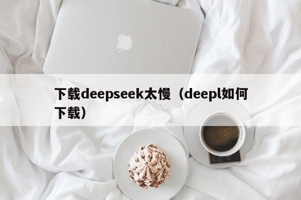 下载deepseek太慢（deepl如何下载）