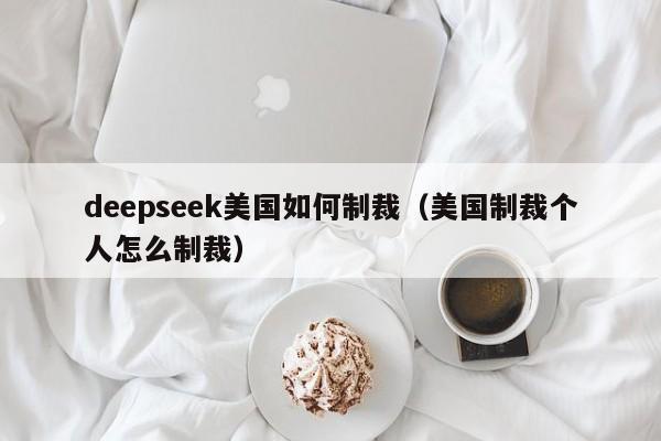 deepseek美国如何制裁（美国制裁个人怎么制裁）