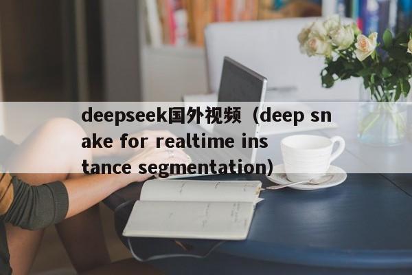 deepseek国外视频（deep snake for realtime instance segmentation）