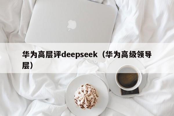 华为高层评deepseek（华为高级领导层）