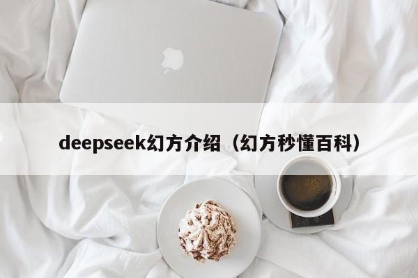 deepseek幻方介绍（幻方秒懂百科）