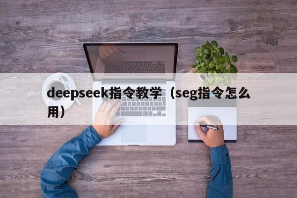 deepseek指令教学（seg指令怎么用）