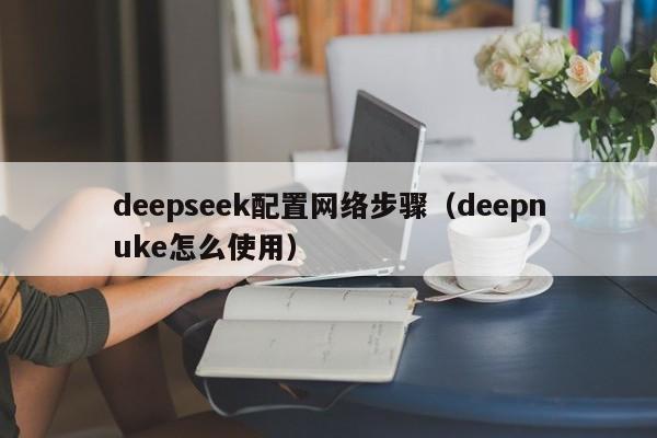 deepseek配置网络步骤（deepnuke怎么使用）