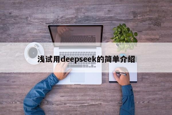 浅试用deepseek的简单介绍