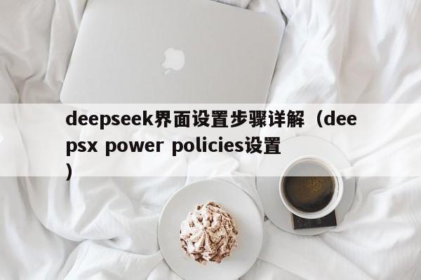 deepseek界面设置步骤详解（deepsx power policies设置）