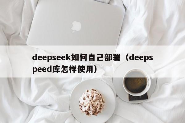 deepseek如何自己部署（deepspeed库怎样使用）