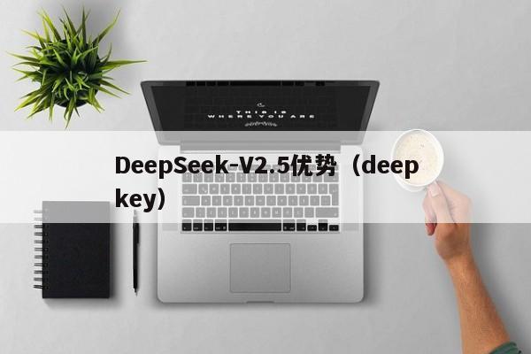 DeepSeek-V2.5优势（deepkey）