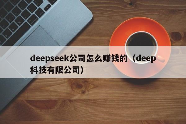 deepseek公司怎么赚钱的（deep科技有限公司）