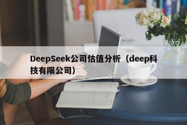 DeepSeek公司估值分析（deep科技有限公司）