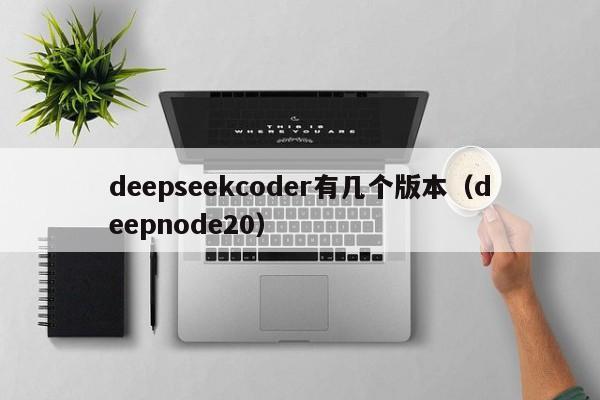 deepseekcoder有几个版本（deepnode20）