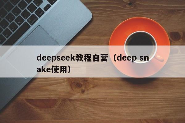 deepseek教程自营（deep snake使用）