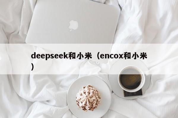 deepseek和小米（encox和小米）
