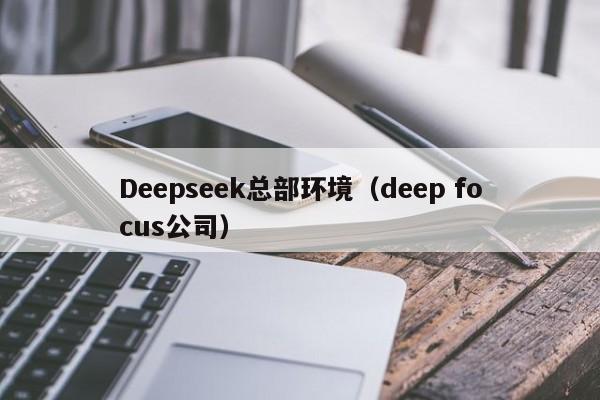 Deepseek总部环境（deep focus公司）